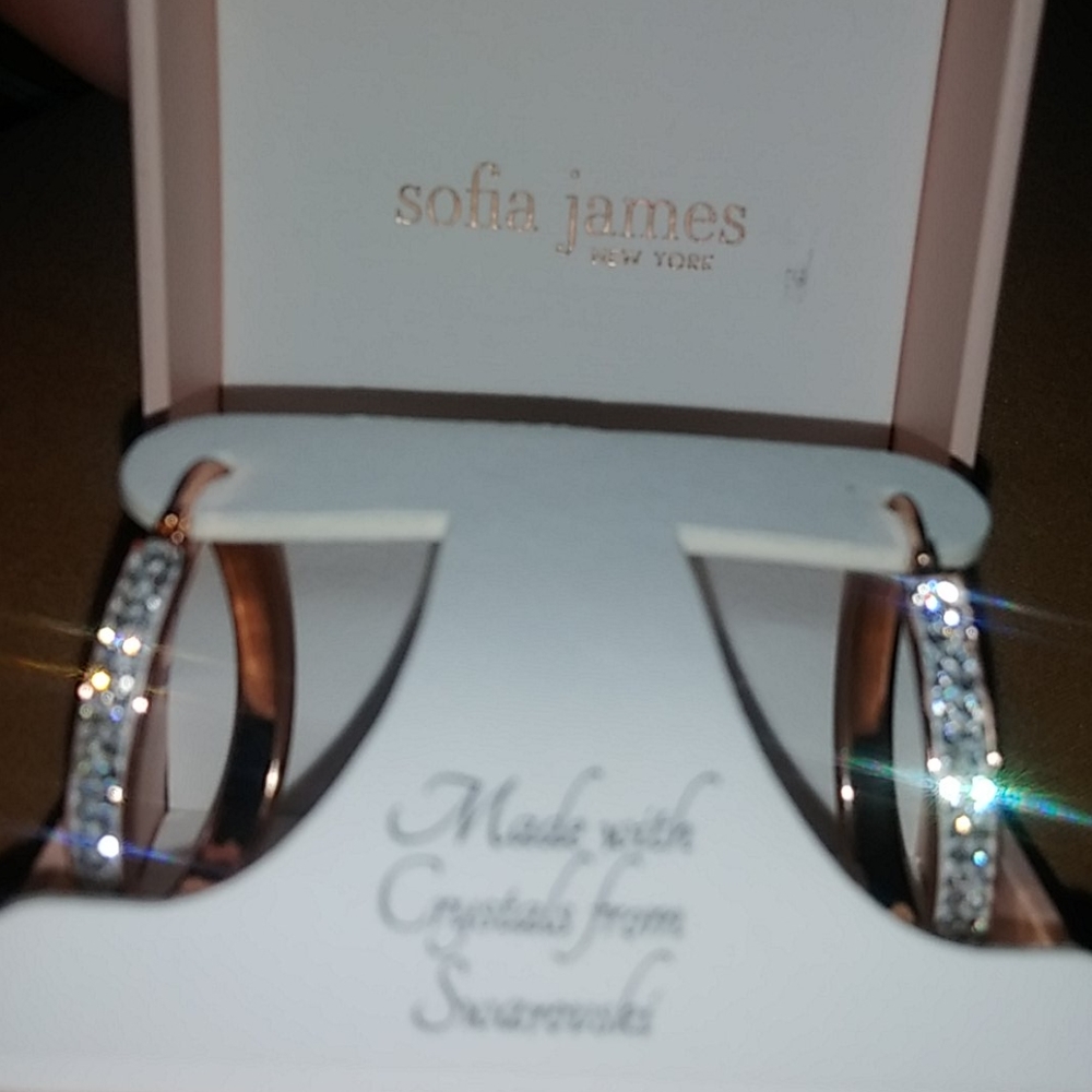 Sophia James New York, earrings